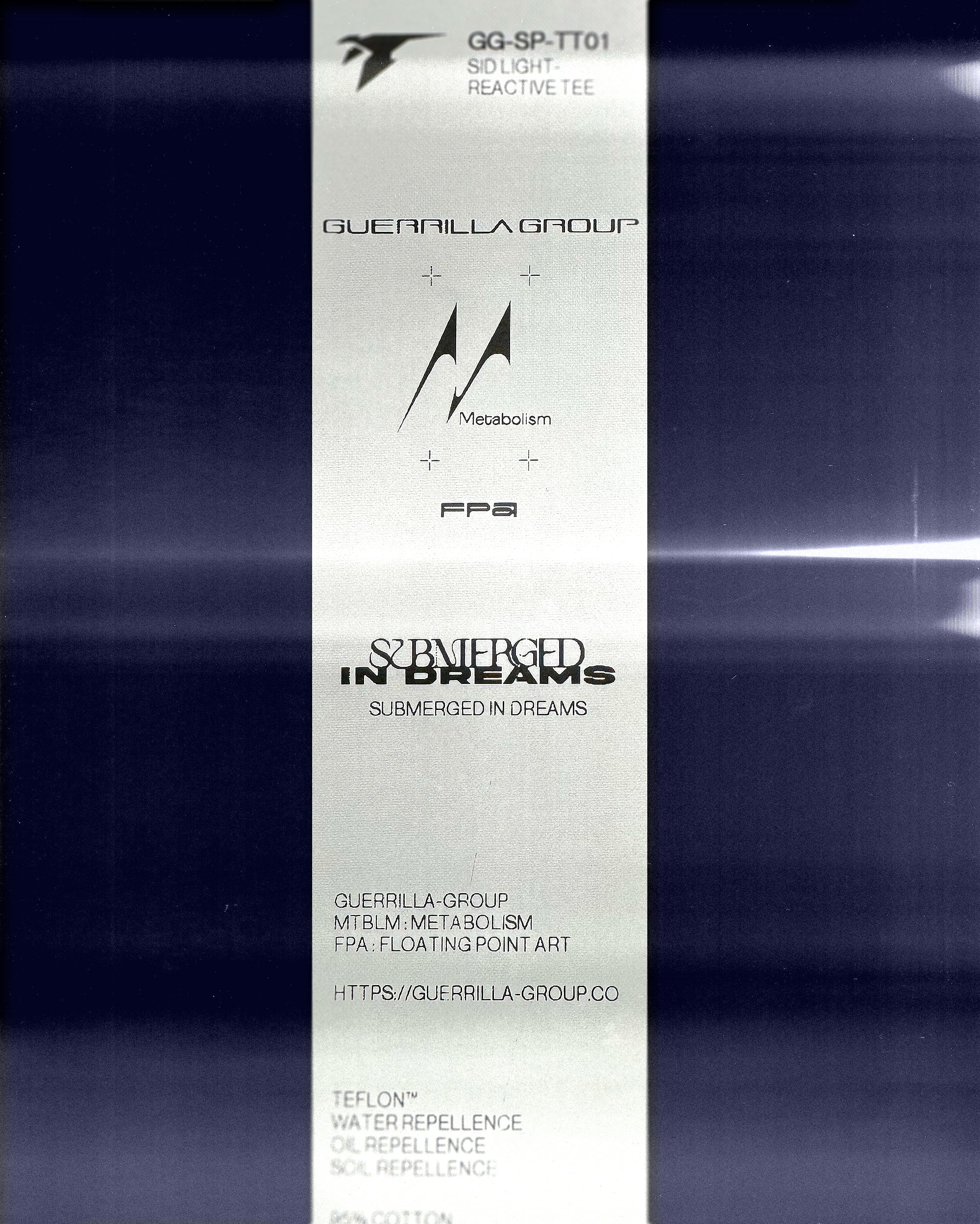 CREATIVE CO-OP : SUBMERGED IN DREAMS